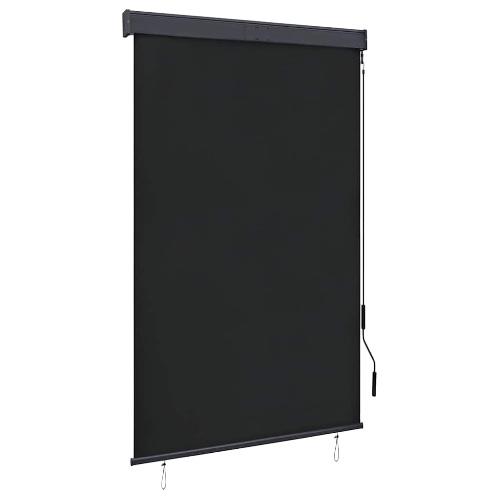Store roulant extérieur vidaXL anthracite 120 x 250 cm pour fenêtre exposée au soleil